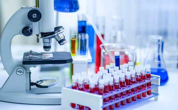 Orthopaedic Laboratory